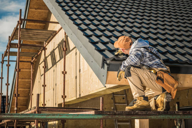 Best Roof Gutter Cleaning  in Columbus, MT