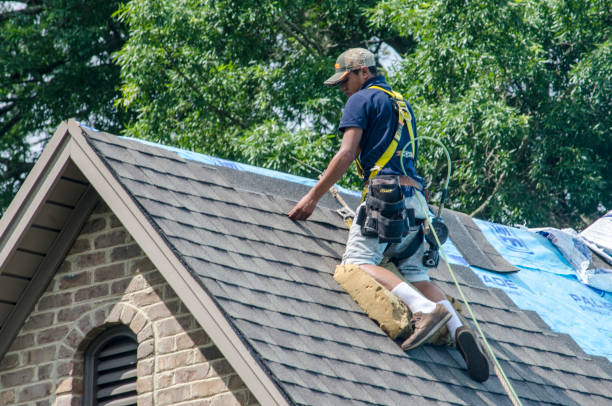 Best Residential Roofing Contractor  in Columbus, MT